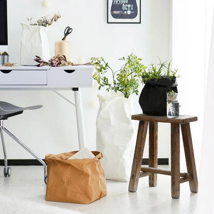 Paper Plant Pot Indoor